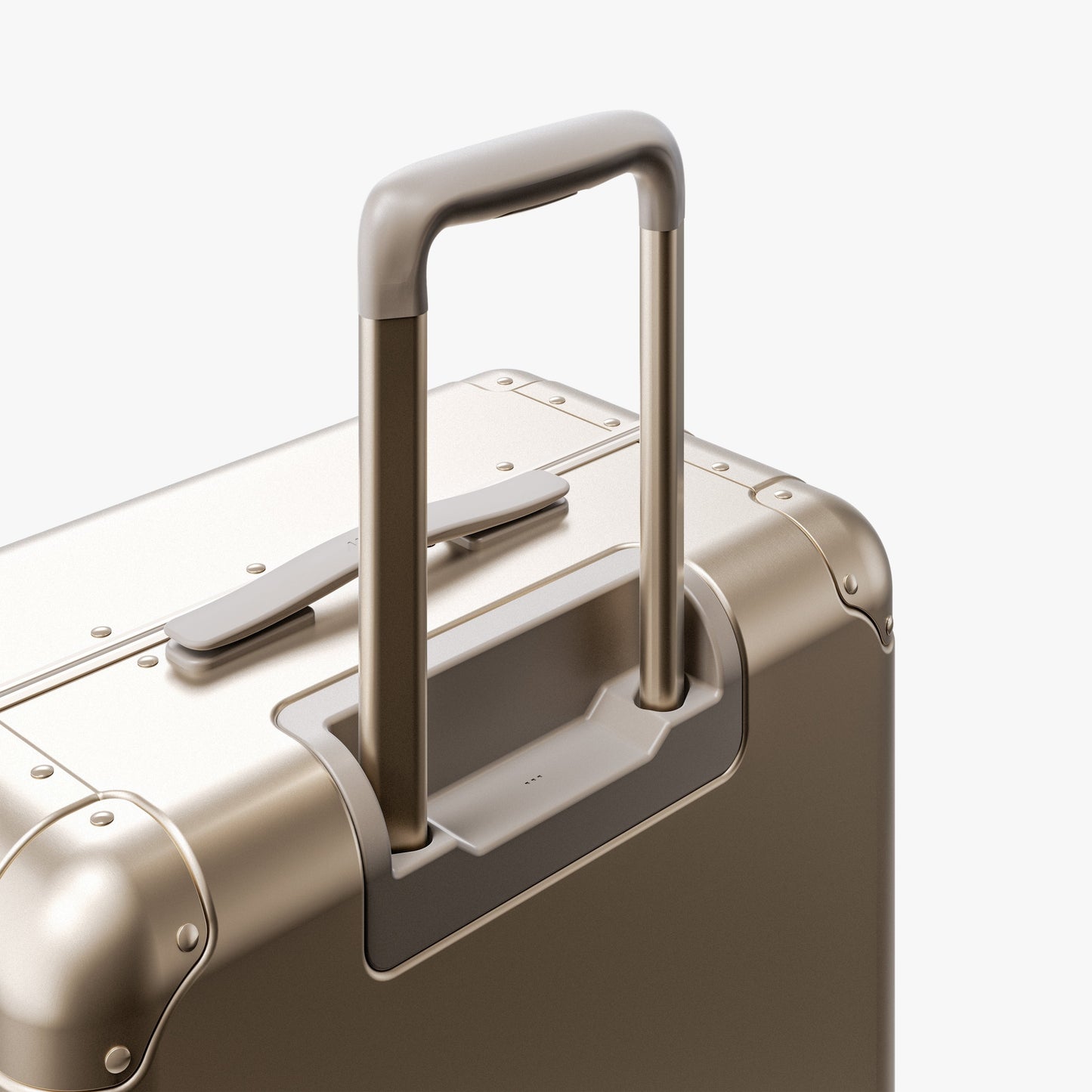 Aluminum Check-In Medium